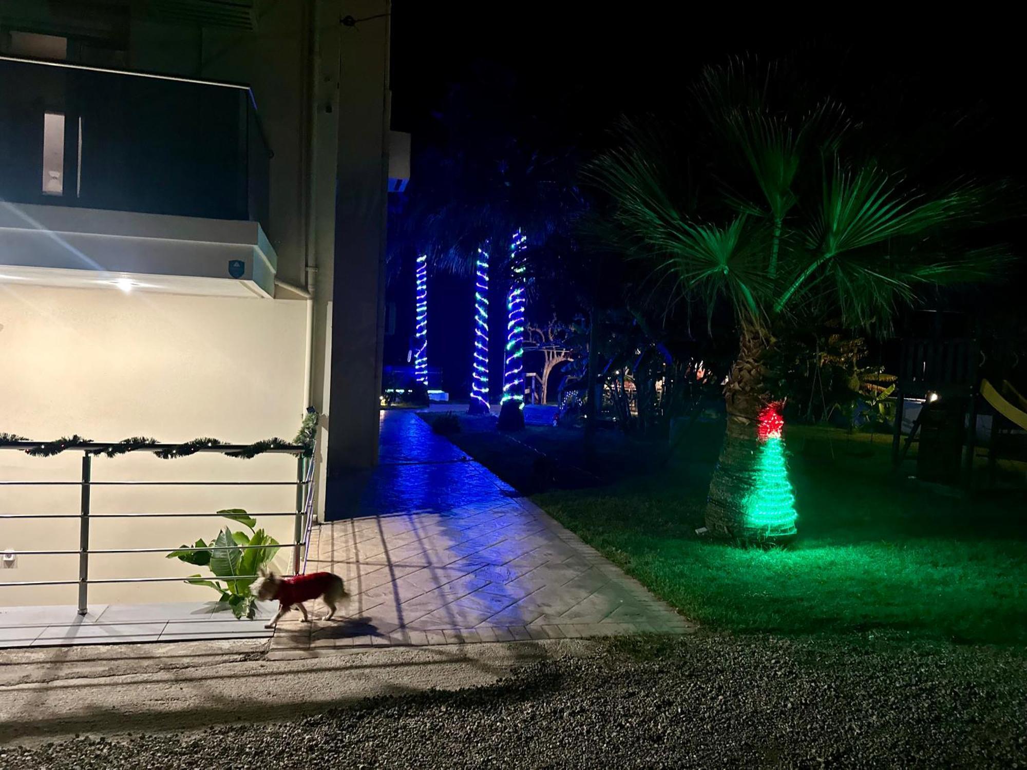Martimi Apartments - 200M From Drapanias Beach - Pool - Hot Tub - Sauna - Bbq Kíssamos Eksteriør billede
