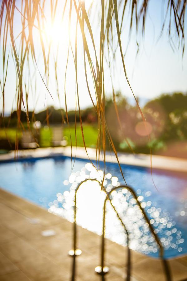 Martimi Apartments - 200M From Drapanias Beach - Pool - Hot Tub - Sauna - Bbq Kíssamos Eksteriør billede